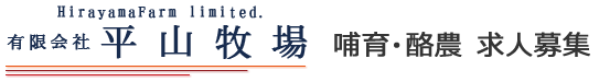 平山牧場　求人サイト　哺育・酪農